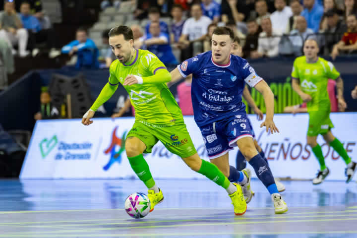 COPA GRANADA MANZANARES-PALMA